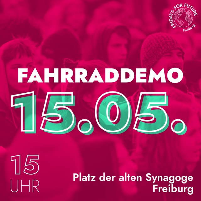 Fridays for Future Demonstration in Freiburg am 15. Mai 2020
